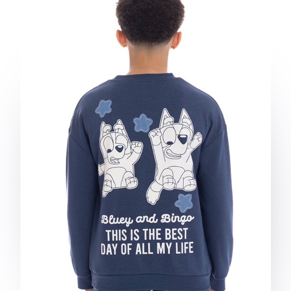 BLUEY Kids Character Soft Crewneck Sweatshirt Blue with Embroidery & Appliqué - Picture 3 of 10